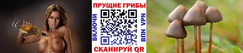 Псилоцибиновые грибы Magic Shrooms  MEGA ссылка  Асбест  купить закладку 
